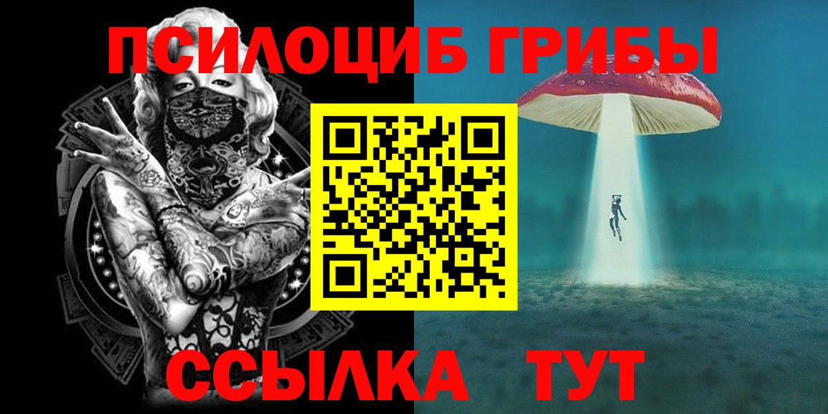 купить  цена  Галлюциногенные грибы Cubensis  Вход с VPN  Мелеуз 